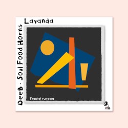 Lavanda
