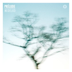 Prélude à Rhéologie