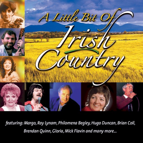A Little Bit of Irish Country
