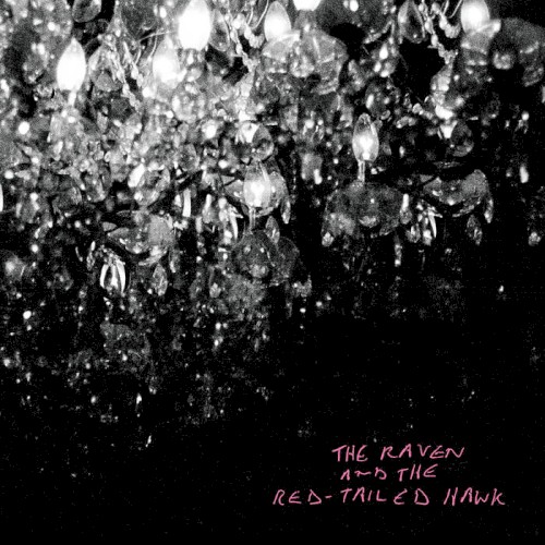The Raven and the Red‐Tailed Hawk