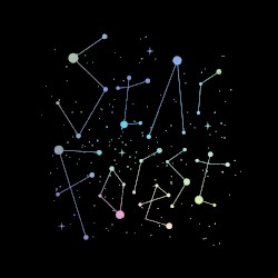 Star Forest