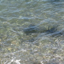 Bright Waters