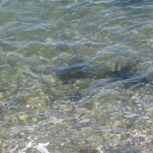 Bright Waters