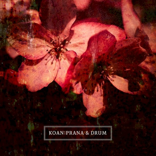 Prana and Drum