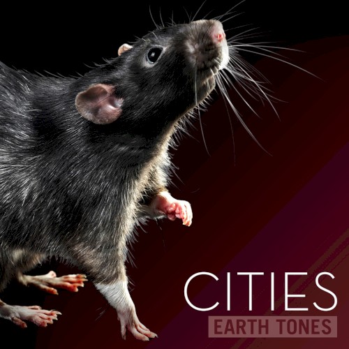Cities