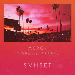 SVNSET