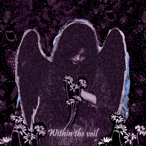 Within The Veil