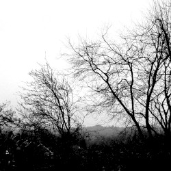 A Landscape to a Blind Man's Eye