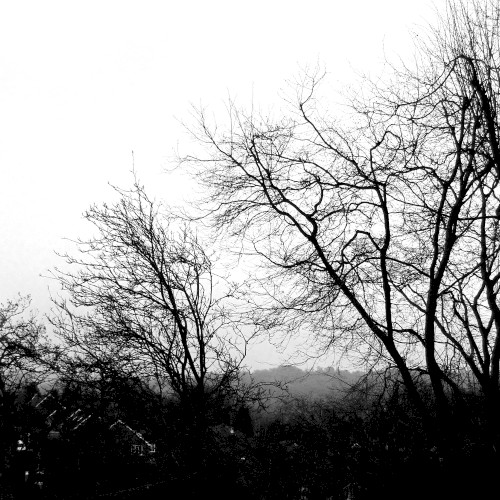 A Landscape to a Blind Man's Eye