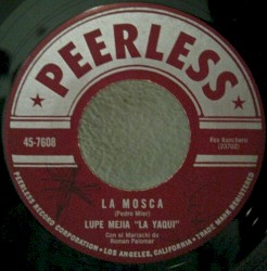 La mosca / La enterradora