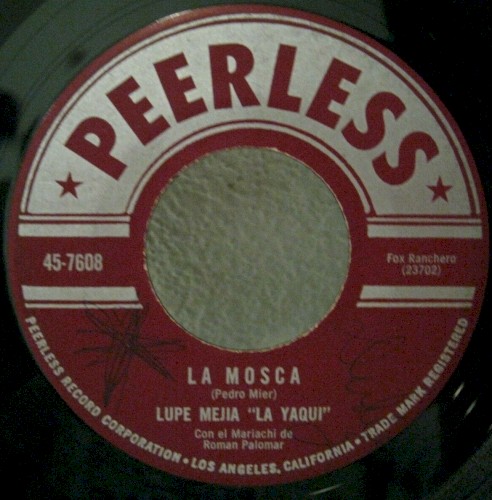La mosca / La enterradora