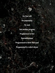 Program
