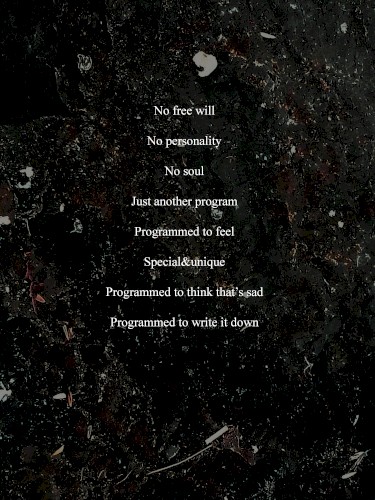 Program