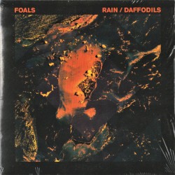 Rain / Daffodils