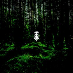 Downloading the Forest Dream Harp