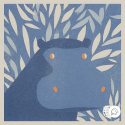 Hippo