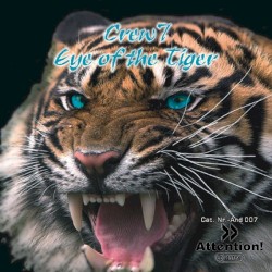 Eye of the Tiger