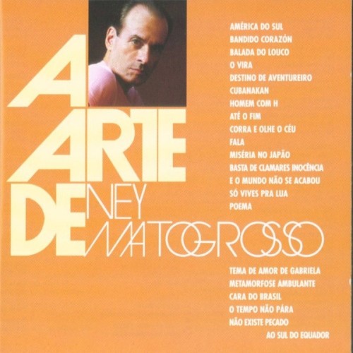 A arte de Ney Matogrosso