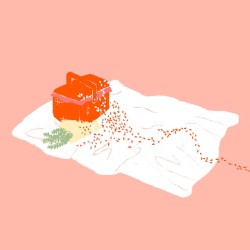 Ants