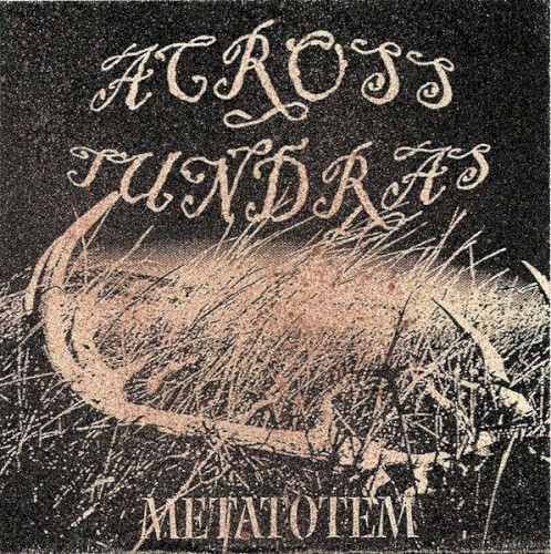 Metatotem