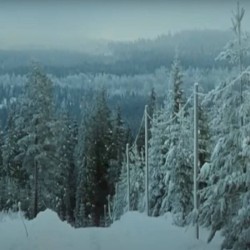 Ｎｅｗ Ｓｎｏｗ