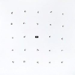 SPLIT SERIES #24