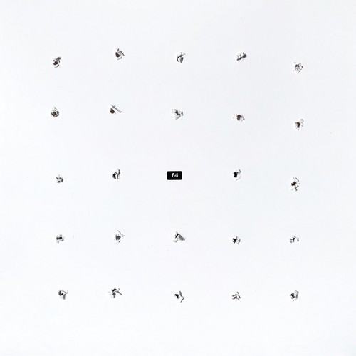 SPLIT SERIES #24