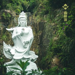 森林浴