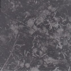 Poisoned Soil