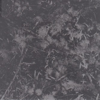 Poisoned Soil