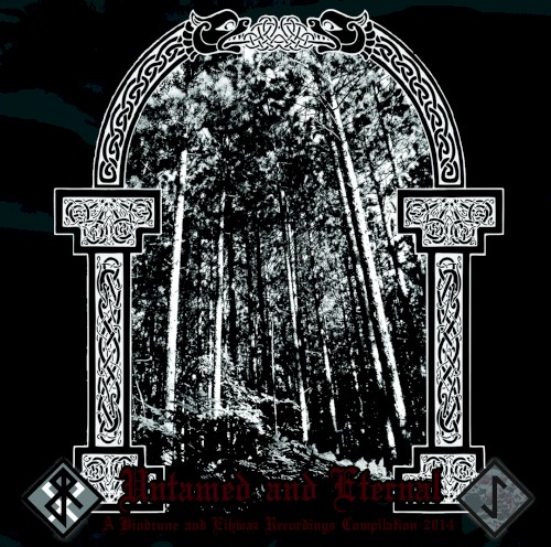 Untamed and Eternal 2014 Compilation
