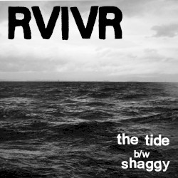 The Tide b/w Shaggy