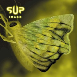 Imago