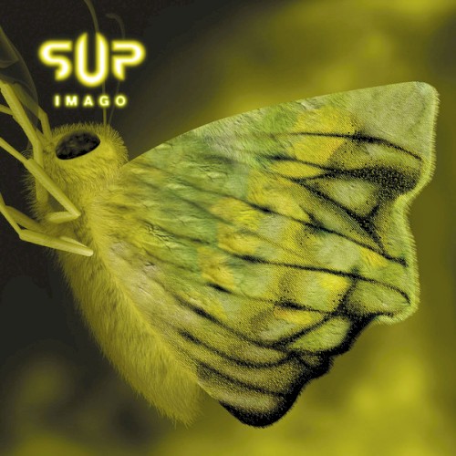 Imago