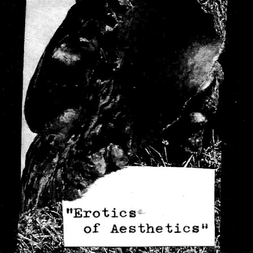 Erotics of Aesthetics