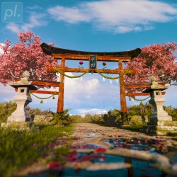 Torii