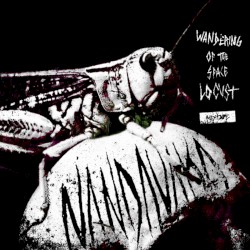 Wandering of the Space Locust