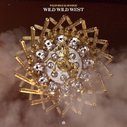 Wild Wild West