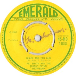 Black and Tan Gun