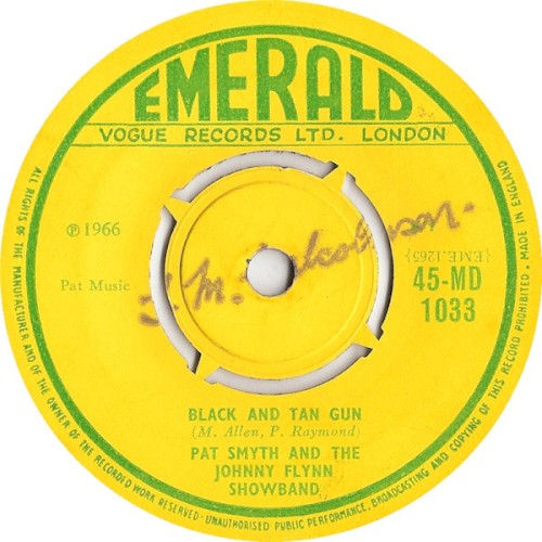 Black and Tan Gun