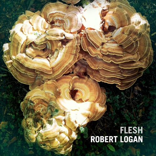 Flesh