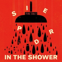 Spider in the Shower