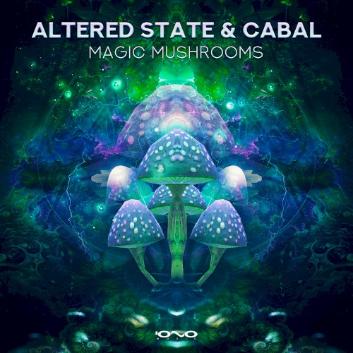 Magic Mushrooms