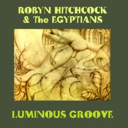 Luminous Groove
