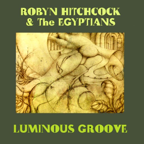Luminous Groove