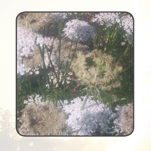 Moonlit Missive #70