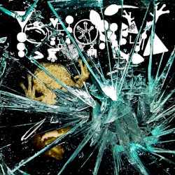Glass To Face Avocation