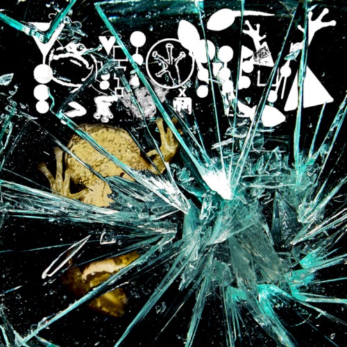 Glass To Face Avocation