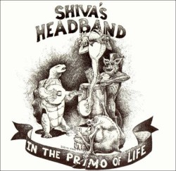 In the Primo of Life