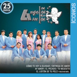 Íconos 25 Éxitos